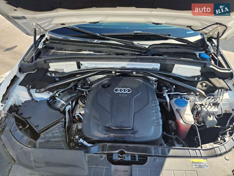 Внедорожник / Кроссовер Audi Q5 2014 в Киеве фото 14 Внедорожник / Кроссовер Audi Q5 2014 в Киеве