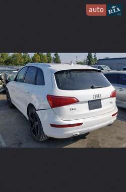 Внедорожник / Кроссовер Audi Q5 2009 в Днепре