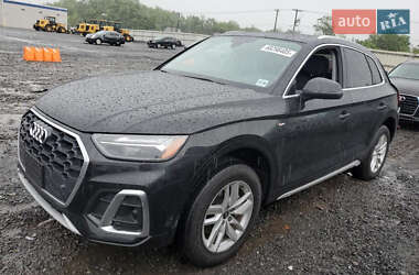 Позашляховик / Кросовер Audi Q5 2024 в Києві