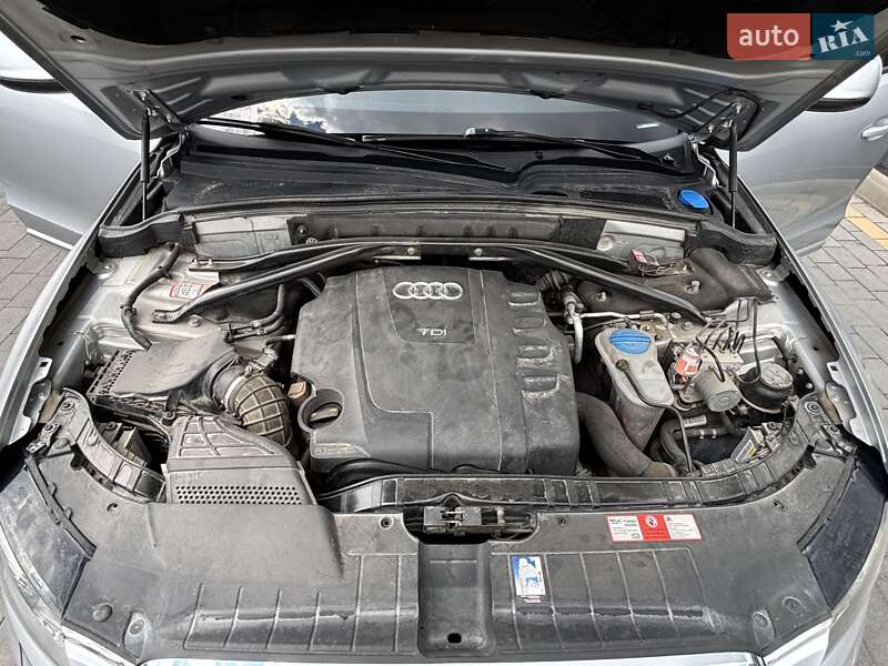 Внедорожник / Кроссовер Audi Q5 2009 в Николаеве фото 4 Внедорожник / Кроссовер Audi Q5 2009 в Николаеве