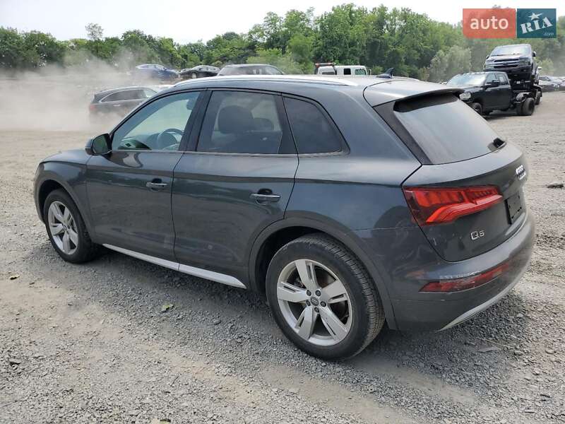 Внедорожник / Кроссовер Audi Q5 2018 в Житомире
