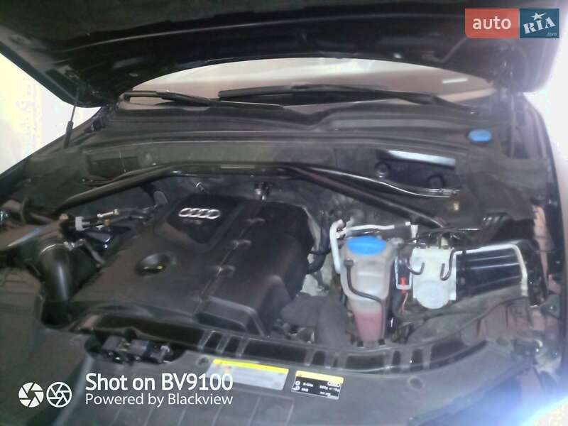 Внедорожник / Кроссовер Audi Q5 2014 в Львове фото 10 Внедорожник / Кроссовер Audi Q5 2014 в Львове