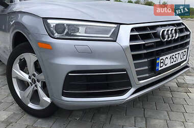 Внедорожник / Кроссовер Audi Q5 2019 в 