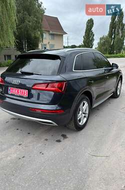 Внедорожник / Кроссовер Audi Q5 2019 в 
