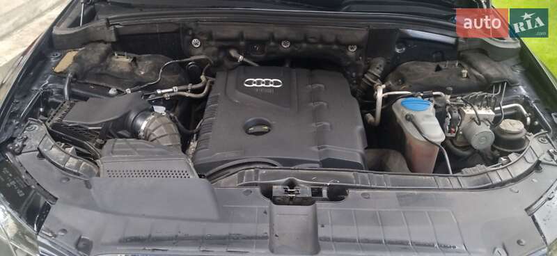 Внедорожник / Кроссовер Audi Q5 2012 в Самборе