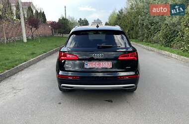 Внедорожник / Кроссовер Audi Q5 2019 в 