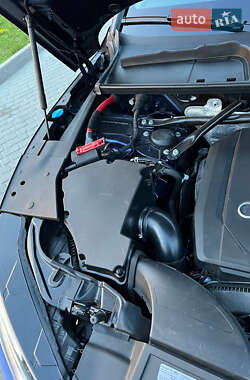 Внедорожник / Кроссовер Audi Q5 2021 в 