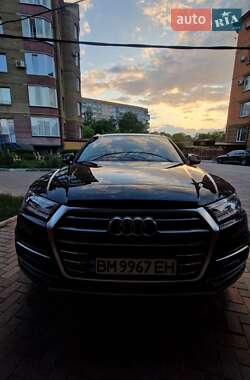 Внедорожник / Кроссовер Audi Q5 2019 в 