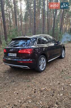 Внедорожник / Кроссовер Audi Q5 2019 в 
