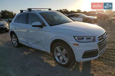 Внедорожник / Кроссовер Audi Q5 2019 в 