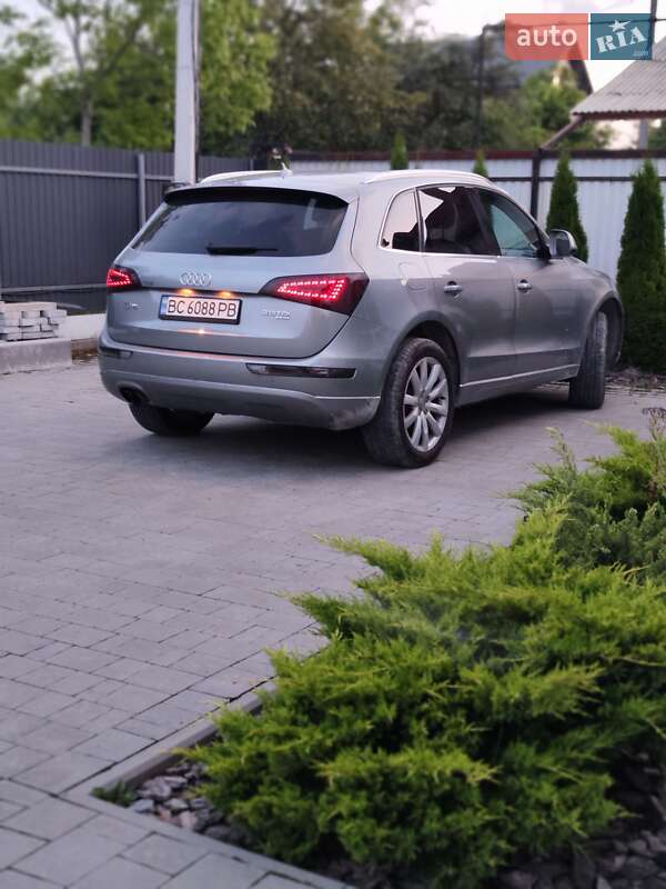 Внедорожник / Кроссовер Audi Q5 2010 в Львове