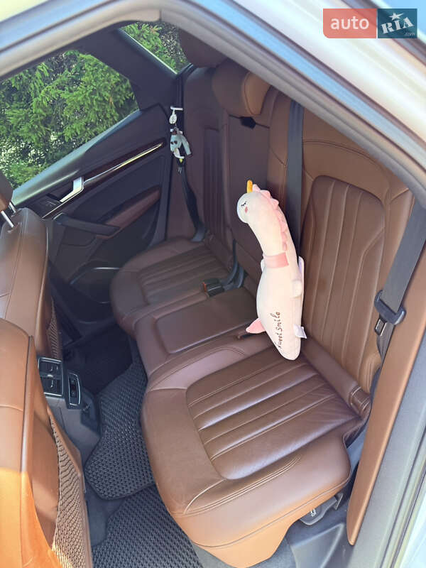 Внедорожник / Кроссовер Audi Q5 2019 в Запорожье фото 10 Внедорожник / Кроссовер Audi Q5 2019 в Запорожье