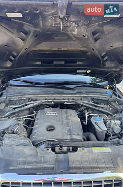 Внедорожник / Кроссовер Audi Q5 2011 в 