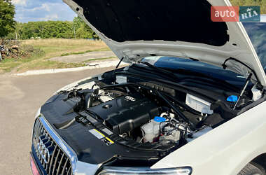 Внедорожник / Кроссовер Audi Q5 2016 в 