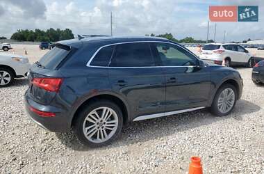 Внедорожник / Кроссовер Audi Q5 2019 в 