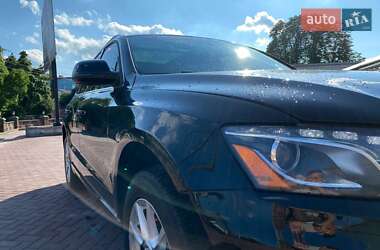 Внедорожник / Кроссовер Audi Q5 2010 в 