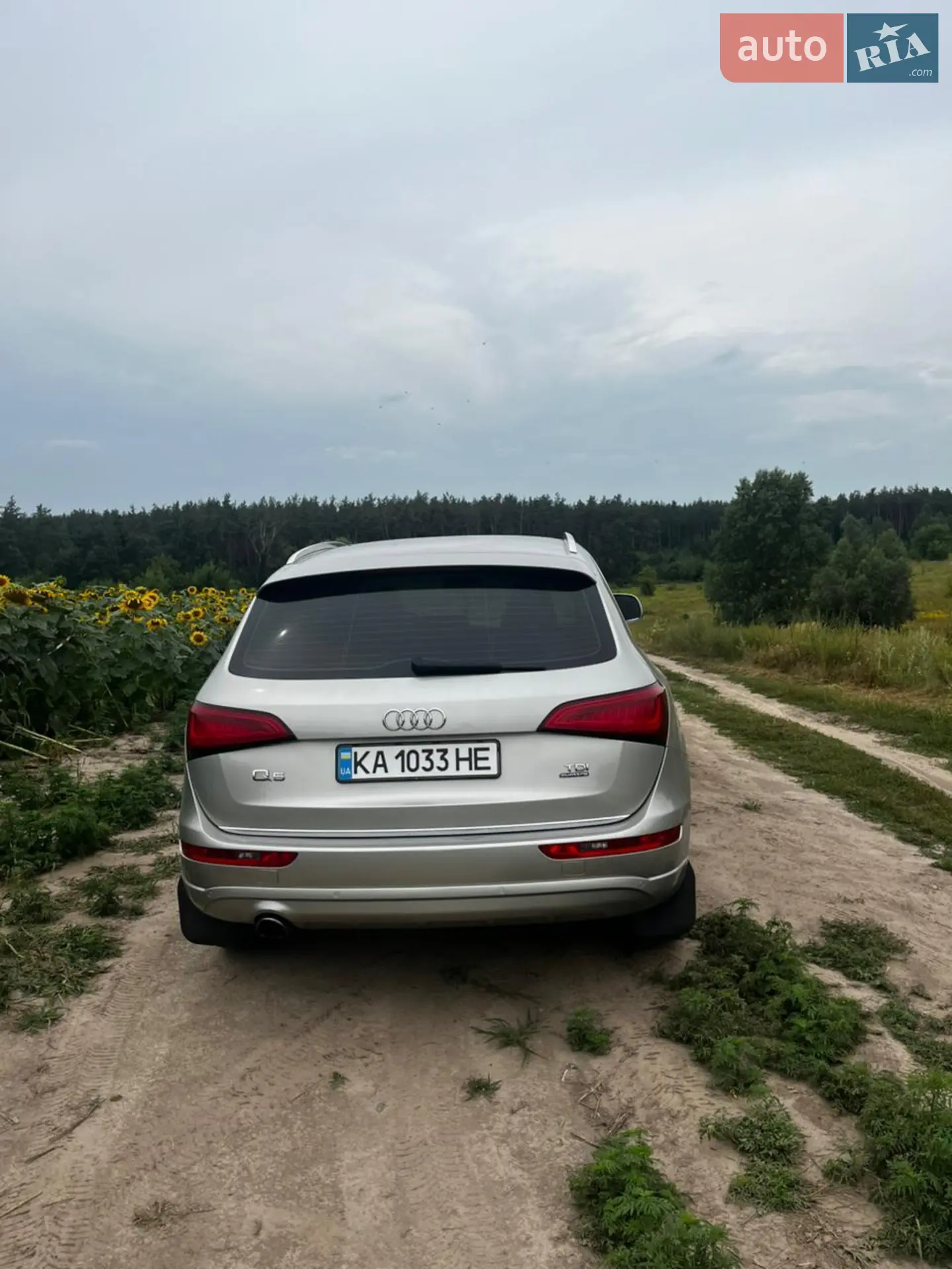 2016 Audi Q5 - мініатюра 16