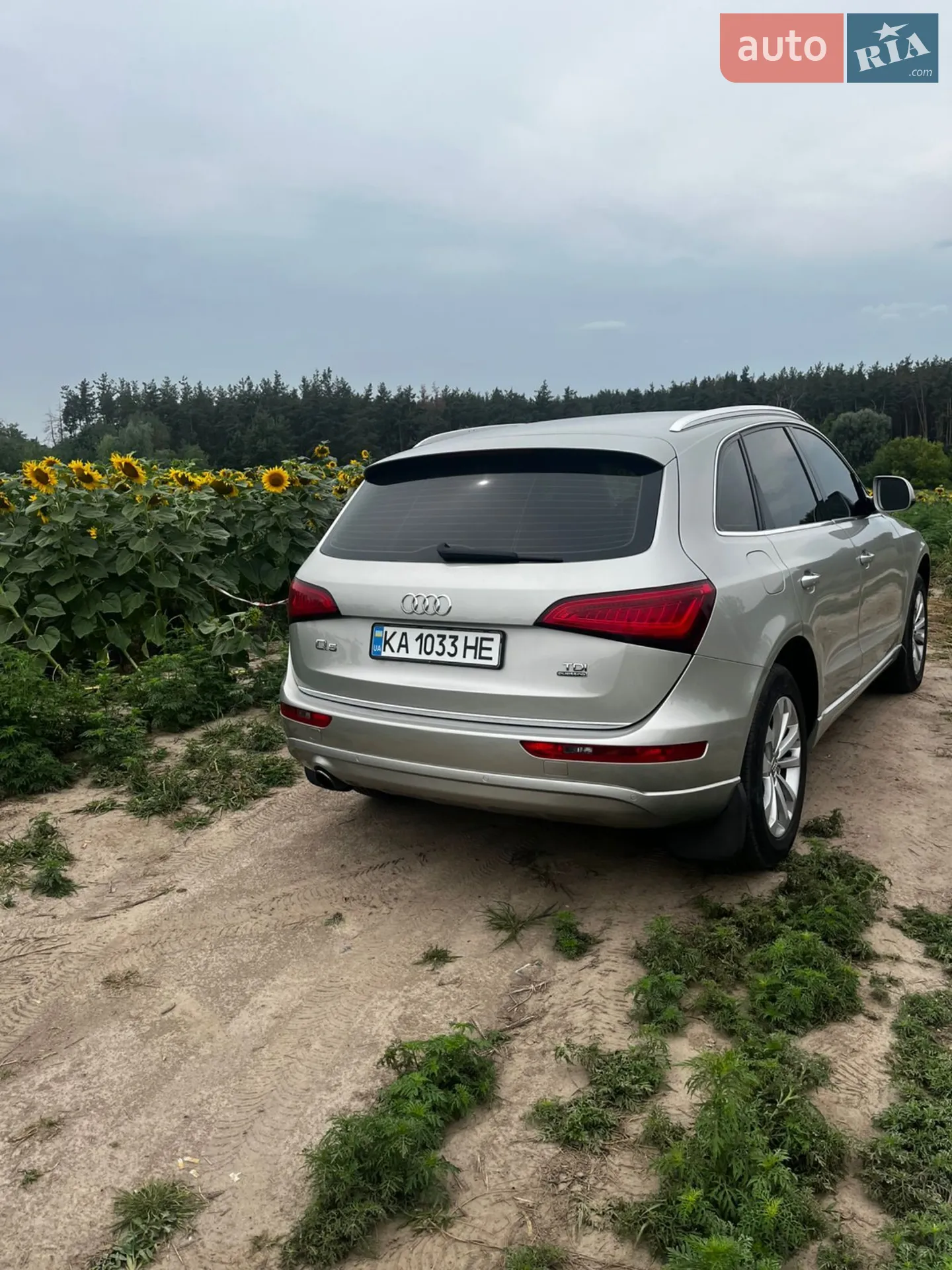 2016 Audi Q5 - мініатюра 18
