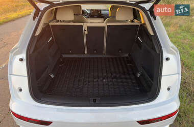 Внедорожник / Кроссовер Audi Q5 2023 в 