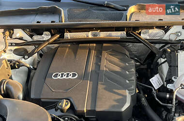 Внедорожник / Кроссовер Audi Q5 2023 в 