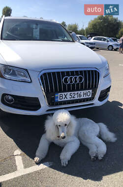 Позашляховик / Кросовер Audi Q5 2013 в Києві