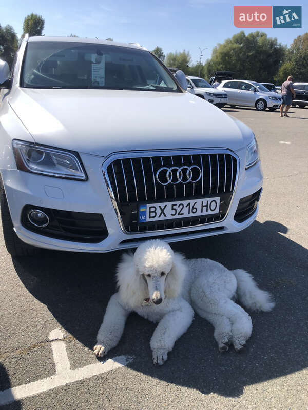Внедорожник / Кроссовер Audi Q5 2013 в 