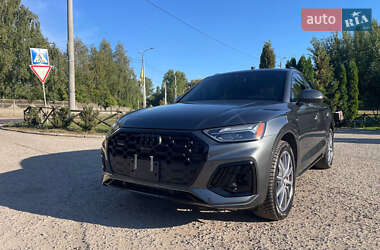 Внедорожник / Кроссовер Audi Q5 2024 в 