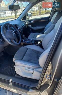 Внедорожник / Кроссовер Audi Q5 2009 в Дрогобыче