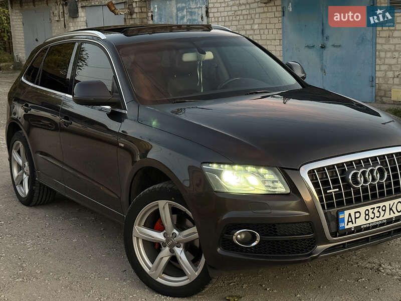 Внедорожник / Кроссовер Audi Q5 2009 в Запорожье фото 23 Внедорожник / Кроссовер Audi Q5 2009 в Запорожье