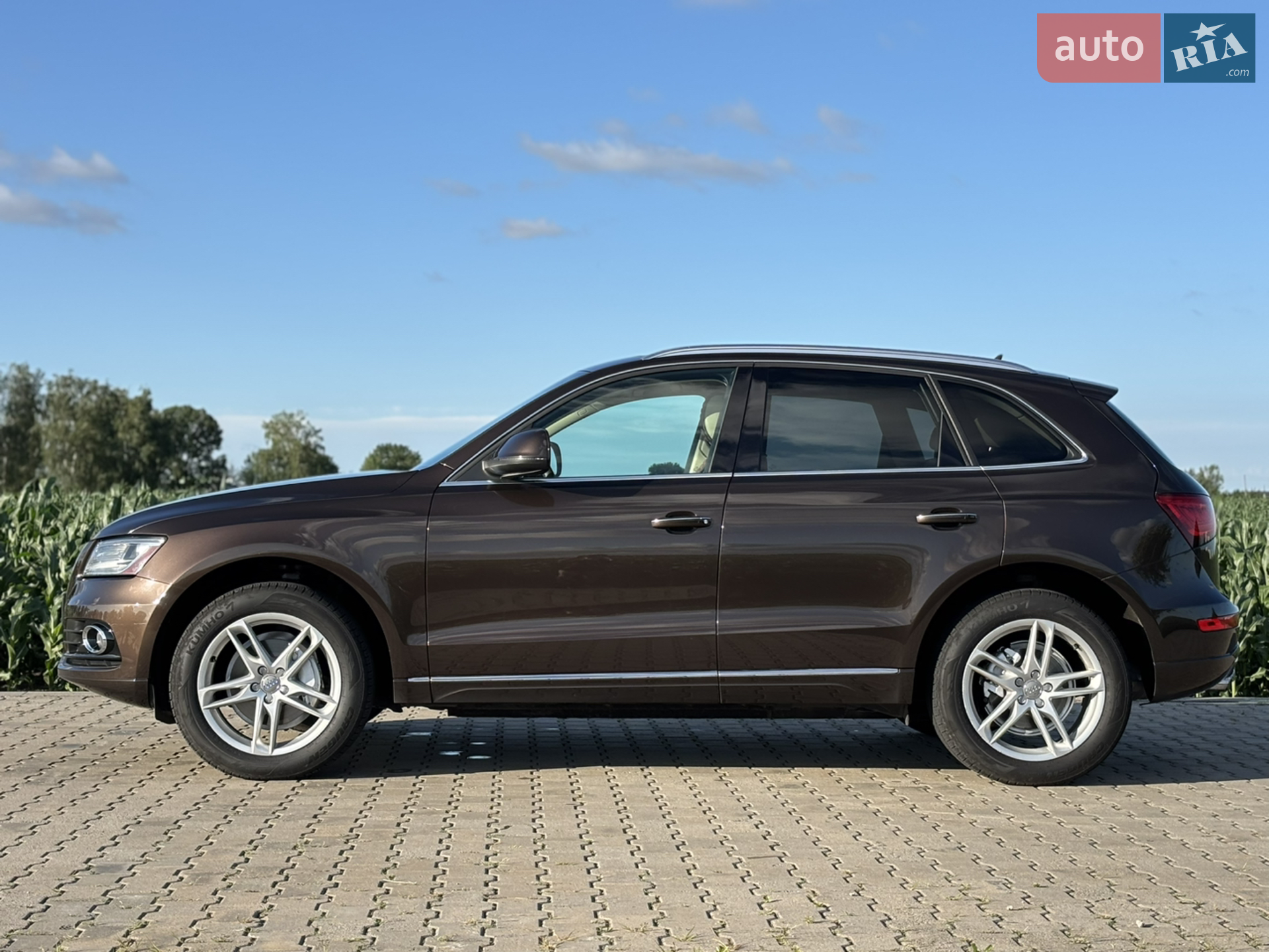 2014 Audi Q5 - мініатюра 6
