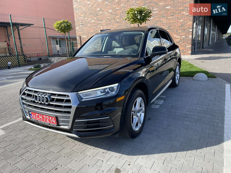 Внедорожник / Кроссовер Audi Q5 2019 в Киеве