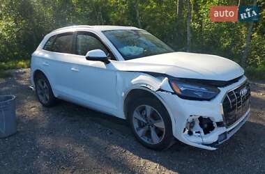 Внедорожник / Кроссовер Audi Q5 2024 в 