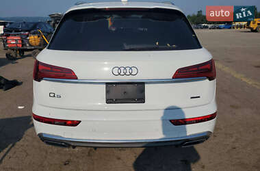 Внедорожник / Кроссовер Audi Q5 2023 в 