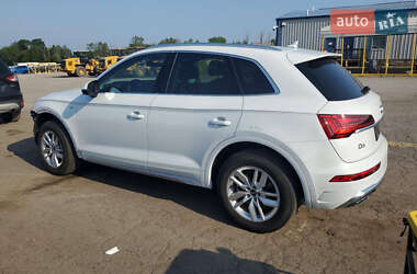 Внедорожник / Кроссовер Audi Q5 2023 в 
