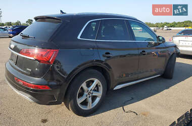 Внедорожник / Кроссовер Audi Q5 2023 в 
