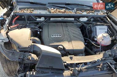 Внедорожник / Кроссовер Audi Q5 2023 в 