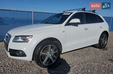 Внедорожник / Кроссовер Audi Q5 2019 в Виннице