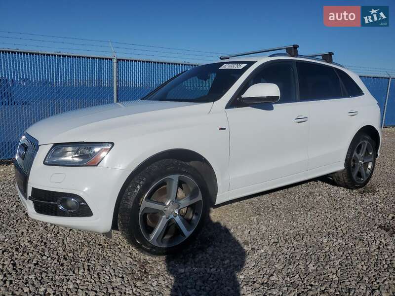 Внедорожник / Кроссовер Audi Q5 2019 в Виннице