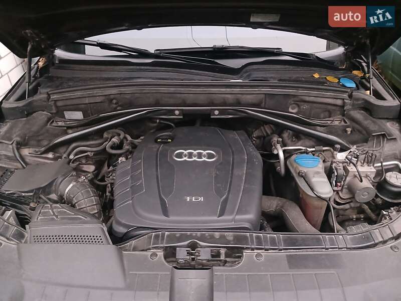 Позашляховик / Кросовер Audi Q5 2011 в Звягелі