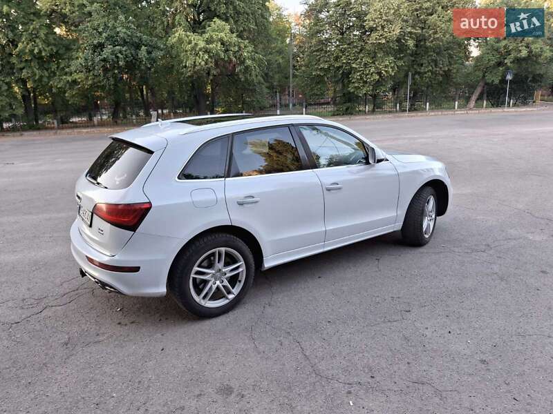Внедорожник / Кроссовер Audi Q5 2016 в Кропивницком фото 27 Внедорожник / Кроссовер Audi Q5 2016 в Кропивницком