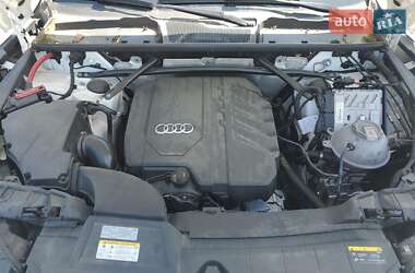 Позашляховик / Кросовер Audi Q5 2023 в 