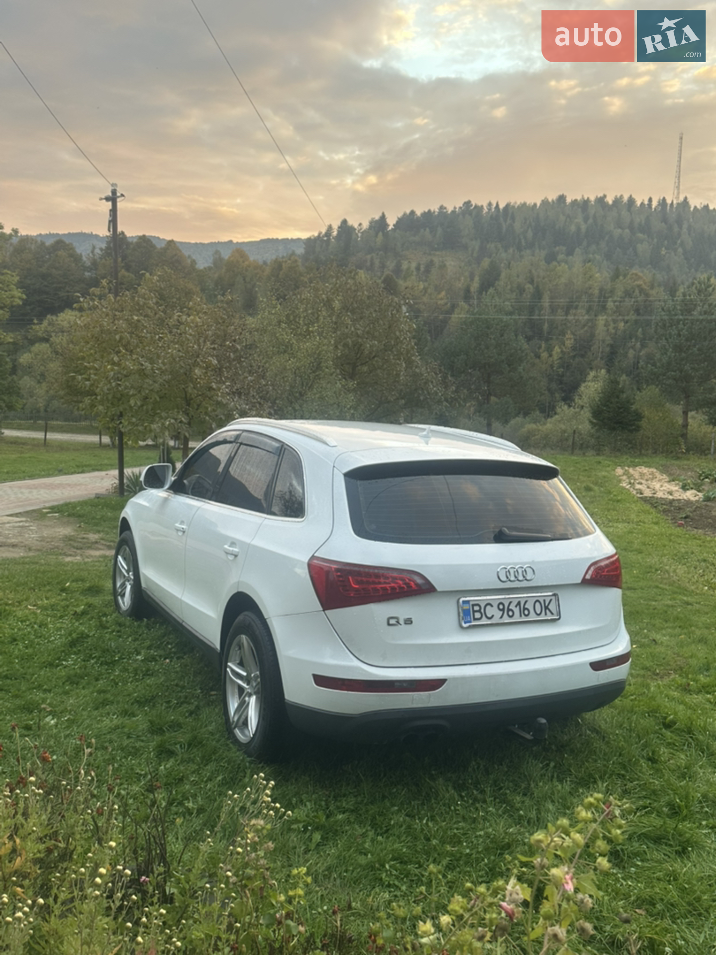 2011 Audi Q5 - мініатюра 2