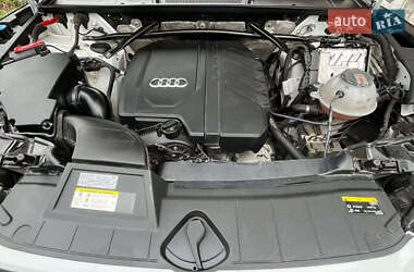 Внедорожник / Кроссовер Audi Q5 2020 в 