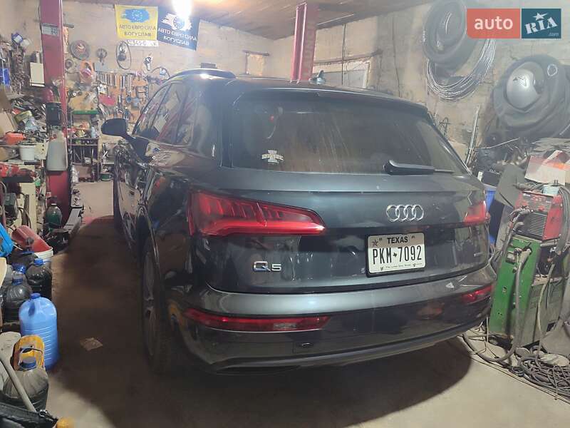 Внедорожник / Кроссовер Audi Q5 2020 в Богуславе