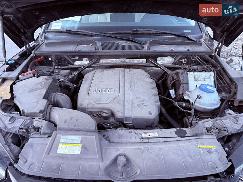 Позашляховик / Кросовер Audi Q5 2020 в Львові фото 7 Позашляховик / Кросовер Audi Q5 2020 в Львові