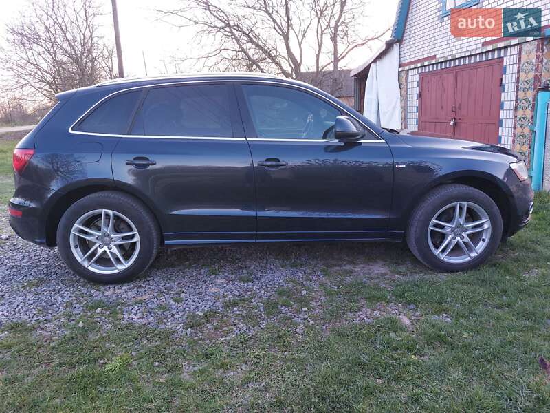 Внедорожник / Кроссовер Audi Q5 2013 в Немирове фото 10 Внедорожник / Кроссовер Audi Q5 2013 в Немирове