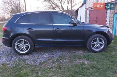 Внедорожник / Кроссовер Audi Q5 2013 в 