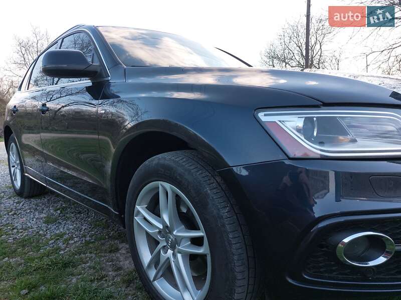 Внедорожник / Кроссовер Audi Q5 2013 в Немирове фото 14 Внедорожник / Кроссовер Audi Q5 2013 в Немирове