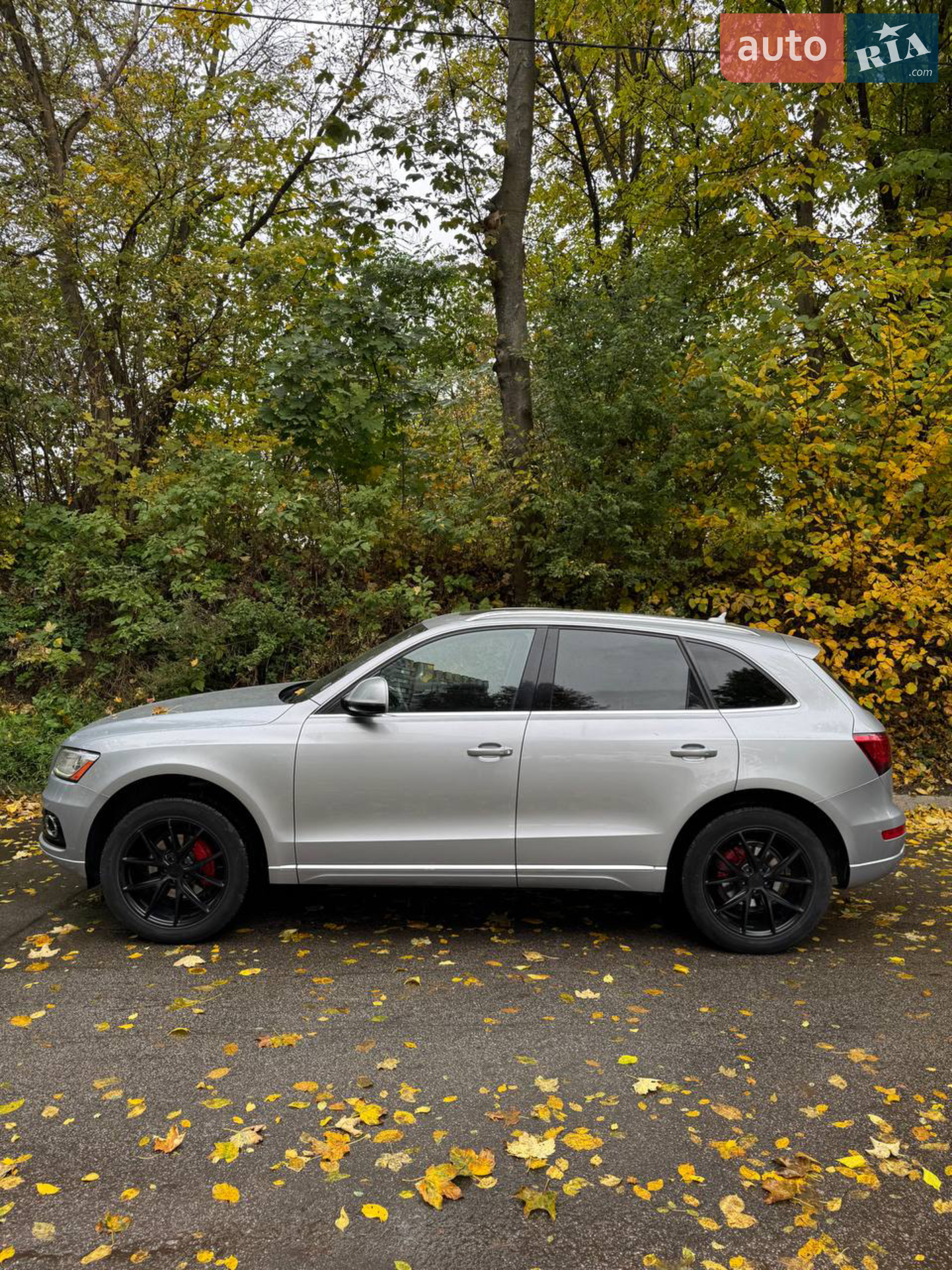 2015 Audi Q5 - мініатюра 3