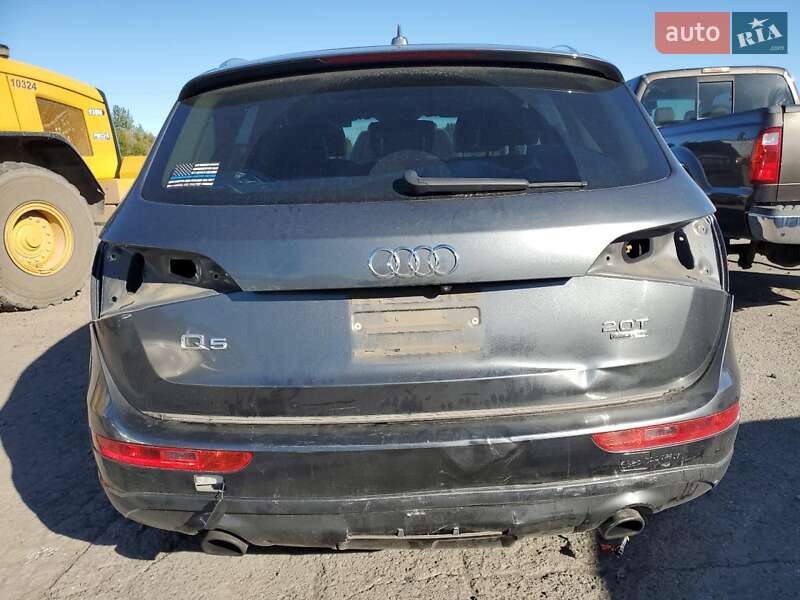 Внедорожник / Кроссовер Audi Q5 2017 в Киеве фото 6 Внедорожник / Кроссовер Audi Q5 2017 в Киеве